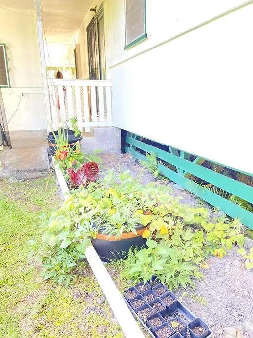 The Hilo Homebase - Charming 3 Bedroom Hilo Home, With Ac! 0*,  ארצות הברית
